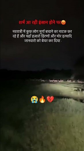 Save telangana forest 😔Telangana sarkar 🙏 #india #forest #animals