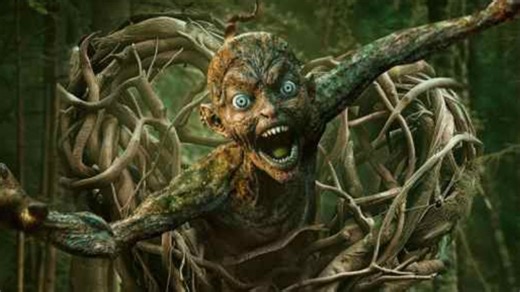 Decoding Munjya's success: How a 'star-less' film turned blockbuster, director speaks