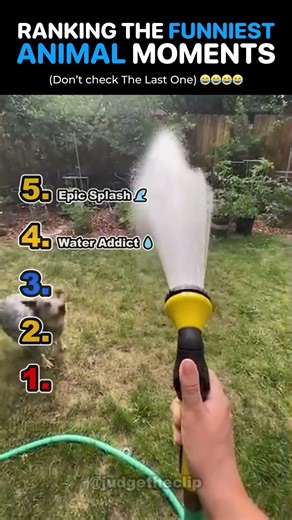 DON’T WATCH THE LAST ONE 💀💀