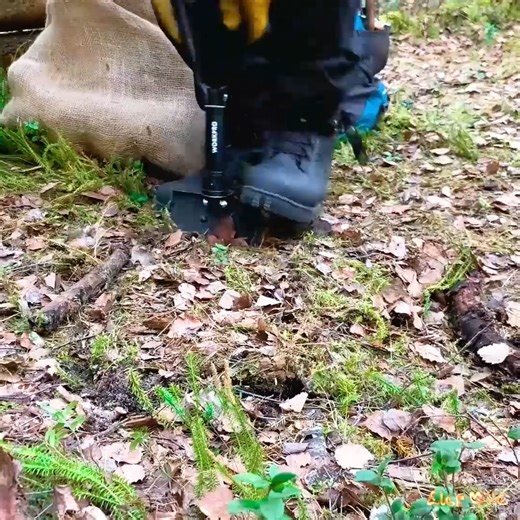 6.3K views · 123 reactions | Building log cabin into forest without power tools 2 days in bushcraft shelter.#bushcraft #adventure #outdoors #survival #camping #cabinlife #cabincrew #wilderness | Mountain Cabins | Facebook