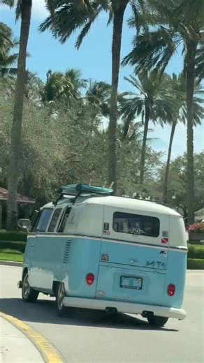 The Original VW Surf Bus