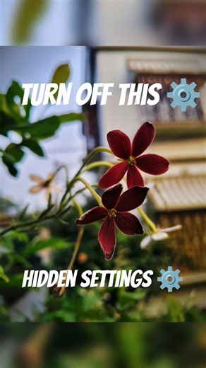 Pro Mode Photography Tutorial#mobilephotography#viral#viralshorts#photographytips#mobilephotography