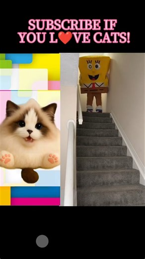 spo spo spongebob fail😂