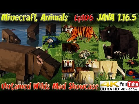 Untamed Wilds Mod Showcase Minecraft JAVA 1.16.5 Cool New Minecraft Animals 4k 60fps Ep106