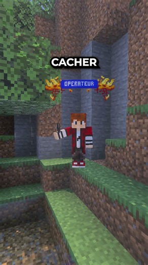 Comment faire un Pillage sur Paladium Bedrock ?