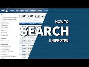How to search UniProtKB