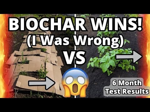 This Cardboard VS Biochar Test Destroyed Everything I Thought I Knew About Soil.