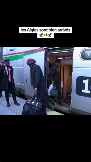 #lesaiglesdumali🇲🇱