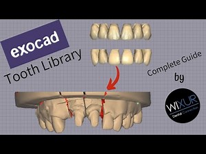 Exocad Tooth Library