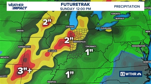 You may see more insects in your house this week — here's why