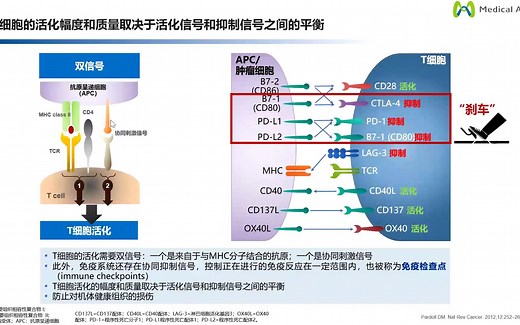 PD-1单抗作用机制和安尼可（派安普利单抗）优越的药理特点