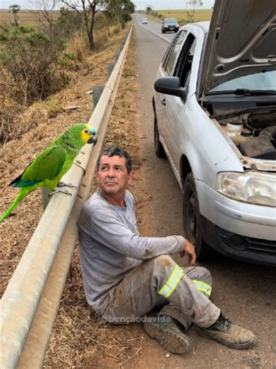 Louro ajudou um homem num momento difícil e ele nem acreditou no que estava acontecendo 🙏🥹