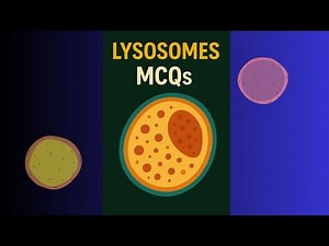 MCQs: Structure and formation of lysosomes. Lysosome, lysosome function