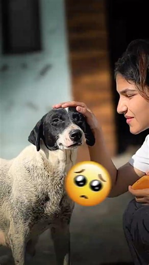 This Dog Was Too Weak 🥺🐶#minivlog #minivlogshorts #doglover