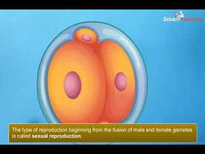 NCERT CBSE Class 8 Science Chapter 9 Reproduction in Animals Part 2