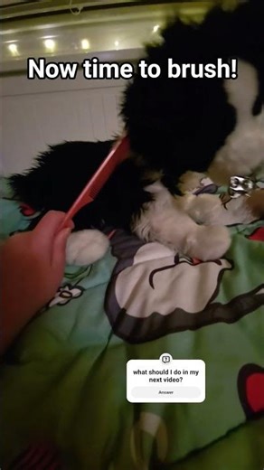 Get Arrow unready from school! #essa #essacommunity #emotionalsupportstuffedanimal