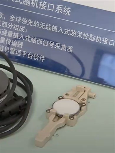 Shanghai’s Pudong Emerges as a Brain-Computer Interface Hub