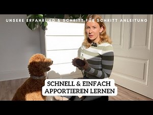 Apportieren mit Futterbeutel beibringen | Dummy Training aufbauen 🐶 | Pudel Lotti