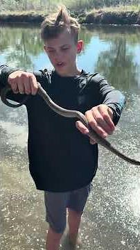 The Biggest Garter Snake I've Ever Seen. #colorado #reptiles #nature #snake #amazing #wow #cool