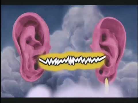 Crashbox Ear We Are we're on Baywatch no the Gymnasium