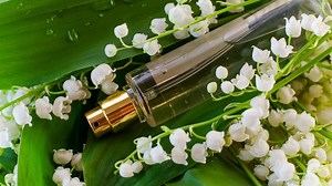 Aprenda qual o jeito certo de usar body splash e evite desperdício