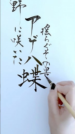 #アゲハ蝶 #歌詞 #書道