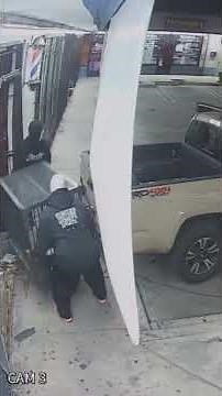 Rare $2,000 cat stolen from LA barbershop in brazen smash and grab #shorts