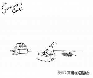 Simon's Cat on Reels