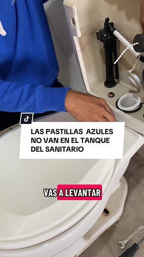 Las pastillas azules y su lugar correcto en el sanitario