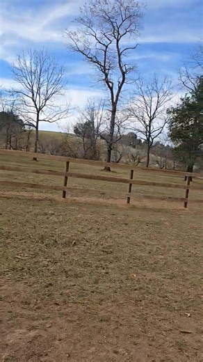 Cattle fence we put up to seperate the clients paddock earlier this week. We had to drive across a small bridge to haul material to and from (video in comments.) | JS Home Improvement & Landscaping