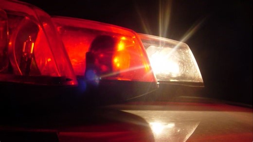 Brushfire mostly contained in Grant-Valkaria; Brevard County, state firefighters monitor into night