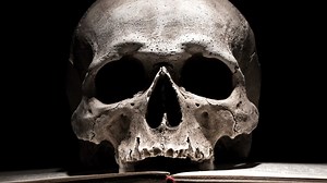 The Most Painful Ways To Die, According To Science
