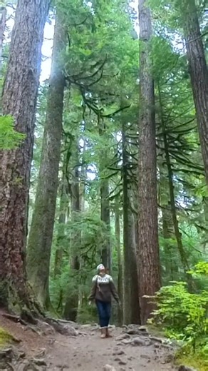 Mary Forbes on Instagram: "Sol Duc Falls feels raw and untamed. Where rushing water cuts through moss-covered forest and the air stays cool and damp year-round. This trail pulls you deeper into Olympic National Park’s wild side, ending at a powerful, multi-tiered waterfall that feels both peaceful and dramatic all at once. 📍 Sol Duc Falls — Olympic National Park 🥾 Distance: ~1.6 miles round trip ⏱️ Time: 1–1.5 hours 📈 Elevation gain: ~200 ft 🌧️ Best time: Spring through fall (lushest after r