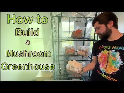 How to Build a Mushroom Greenhouse | Martha Tent