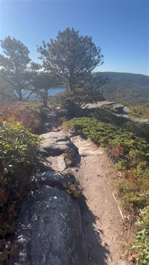 A bit of our hike at Acadia Mountain today. Warm sunshine was the rule of the day . #acadia #Maine | Eric Storm Photo
