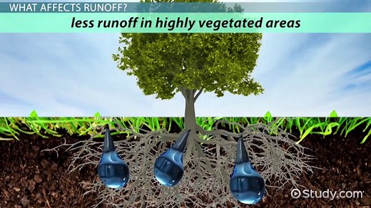 Runoff in the Water Cycle | Definition & Examples
