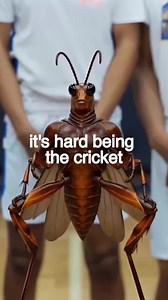 Cricket vs Toucan Twins: A Basketball Rivalry