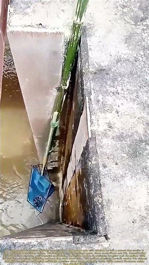 Reaching Deep: How a Bamboo Net Harvests Where Hands Can't