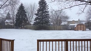 8.7K views · 485 reactions | Who’s happy to see snow on Christmas Eve? | ABC12 News | Facebook