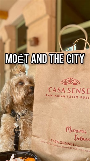 200 reactions |  Fort Lauderdale is so lucky, to have great dog...