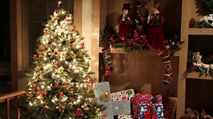 8.3K views · 63 reactions | Sparkling with spruce or perfectly plastic? Rachel Schoutsen takes a closer look at the environmental impacts of real vs. artificial Christmas trees. | The Weather Network | Facebook