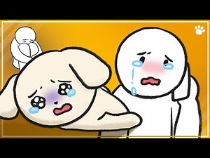 8 Signs A Dog Is Dying - Behaviors And Health Issues | BEMYPET