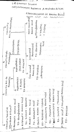protein:- definition , function , classifying of amino acid & protein , identification of protein