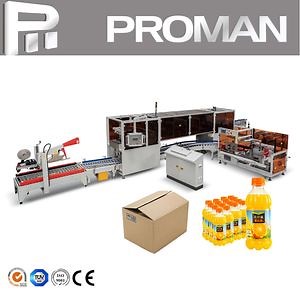 [Hot Item] Carton Box Sealing Machine Automatic Case Packaging Line