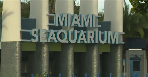 Miami Seaquarium closes after 70 years