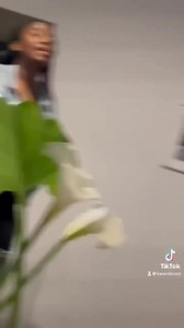 23K views · 1.8K reactions | Cracked TV screen prank on our parents 藍藍❤️ #family #facebookreelsviral #reelsviralシfb | Household OfHappiness | Facebook