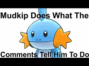 Mudkip Does What The Comments Tell Him To Do