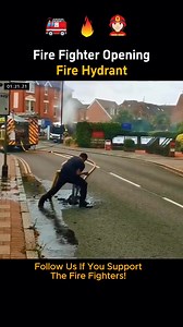 11K views · 92 reactions | Emergency Firehydrant ‍ | Cute Dogs | Facebook