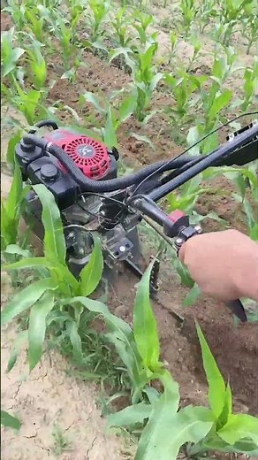 manufacturer Corn field weeding and ditching integrated machine Water and drought dual-purpose .