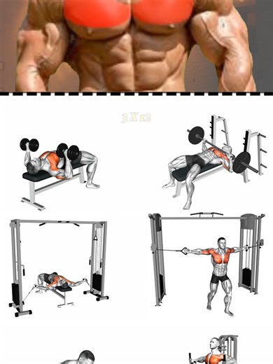 This mid chest workout targets the central portion of the chest to build thickness and strength. Flat pressing movements help create a fuller, balanced chest. Focus on controlled reps and a strong squeeze in the middle. #midchest #chestworkout #flatbench #pecworkout #gymtraining #musclebuilding #fitnessreels #workoutvideo #gymmotivation #bodybuilding #upperbodyworkout #strengthtraining #fitlifestyle #shortsfitness #gymcontent